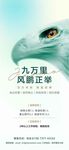 九萬里風(fēng)鵬正茂人才精英招聘海報