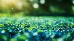 夢幻綠意植物科技景觀