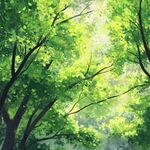 陽光灑落的蔥郁林間