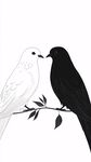黑白雙鳥棲于枝間