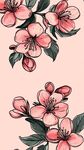 粉色花卉插畫 清新唯美