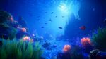 夢幻海底世界 多彩珊瑚魚群