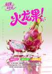 火龍果