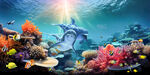 海底生物世界