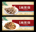 鹿茸菇