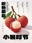 小暑時節(jié)的新鮮荔枝