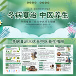 三伏天冬病夏治中醫(yī)養(yǎng)生海報展板
