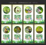 保護(hù)鳥(niǎo)類