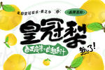 皇冠梨