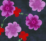 中老年網(wǎng)紗印花素材