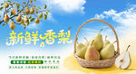 新鮮香梨 