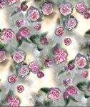 玫瑰花