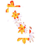 橙色花朵裝飾圖案