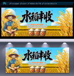水稻豐收