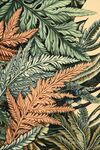 蕨類(lèi)植物精美圖案紋理