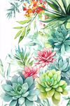 清新水彩風(fēng)多肉植物花卉