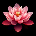 盛開的粉色立體蓮花圖案