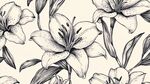 黑白百合花圖案精美插畫