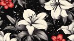 黑白紅花卉圖案背景圖