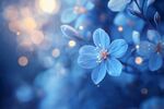 夢(mèng)幻藍(lán)花綻放的美麗瞬間