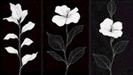 黑白花卉植物線稿插畫
