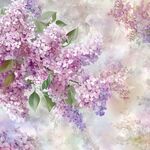 夢幻紫丁香花卉背景圖