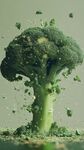 西蘭花爆炸瞬間的視覺盛宴