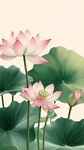 清新水墨風(fēng)盛開(kāi)荷花圖