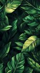 熱帶繁茂綠葉背景圖案