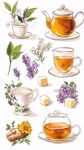 手繪清新花草茶飲插畫