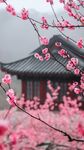 古風(fēng)建筑旁的爛漫桃花