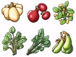 多樣蔬菜插畫集合