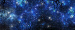 仰視星空夜空