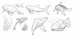 手繪海洋生物集合