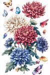 多彩菊花與蝴蝶插畫