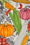 手繪多彩蔬菜組合插畫(huà)