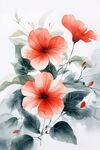 水墨風艷麗朱槿花卉圖