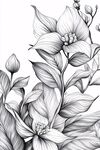 黑白花卉線描插畫(huà)