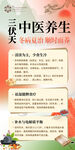 中醫(yī)養(yǎng)生三伏天冬病夏治中醫(yī)海報(bào)