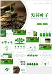 植物發(fā)芽植物生長敬畏生命PPT