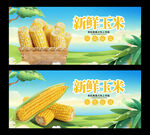 玉米