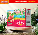 水蜜桃包裝 桃子禮盒