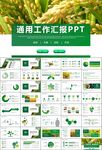 水稻農(nóng)田農(nóng)業(yè)種植大米PPT模板