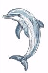 跳躍的海豚插畫