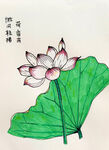 荷花圖