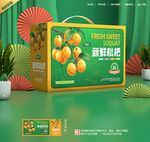 枇杷包裝