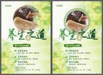 養(yǎng)生之道海報(bào)