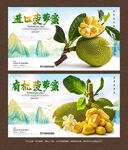 菠蘿蜜
