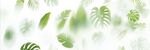 霧氣磨砂膜效果綠植貼圖