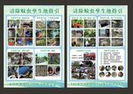 清除蚊蟲(chóng)孳生地宣傳單